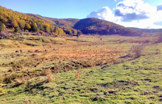 Terreno agricolo in vendita