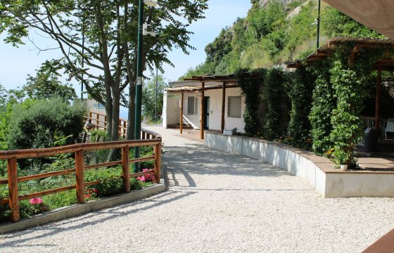 Attività / Licenza in vendita