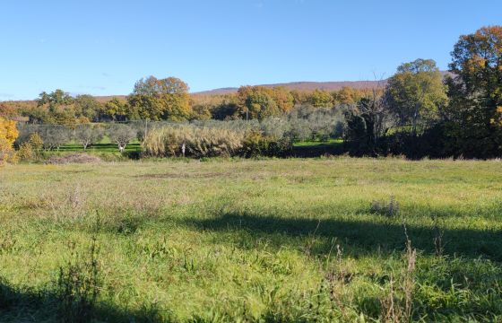 Terreno residenziale in vendita