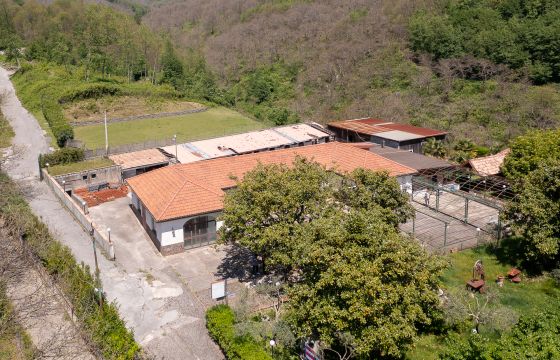 Podere o tenuta in vendita