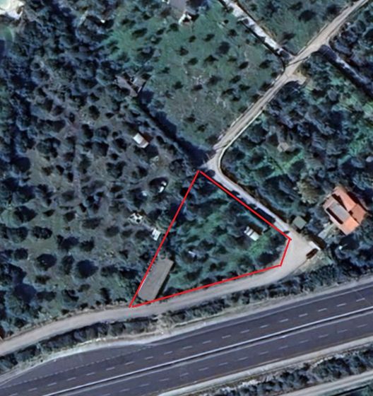 SV Li Curuneddi tronco A