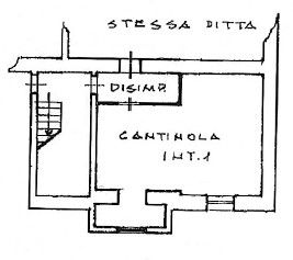 vincenzo bellini 52
