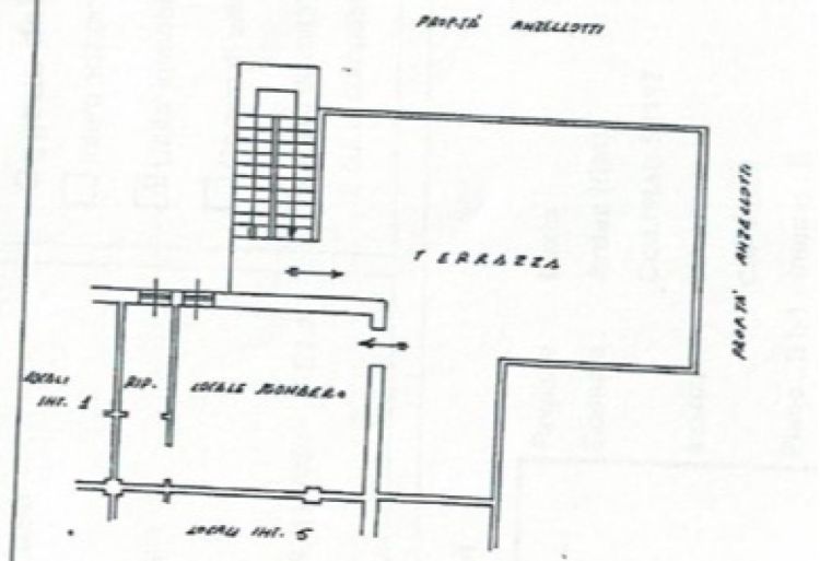 Quadrilocale in vendita, via Arianna  97, Lido dei Pini di Ardea, Ardea