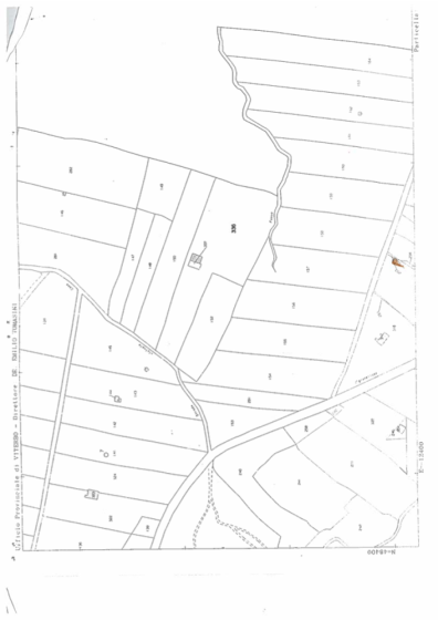 Strada mecocci snc