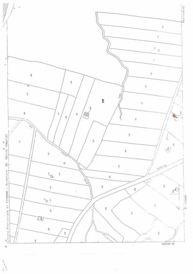 Terreno agricolo in vendita, Strada mecocci snc, Vignanello