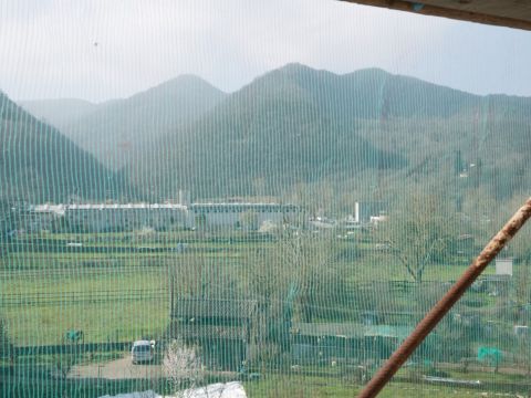 Via Avosso 60