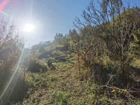 Caraffa di Catanzaro, CZ, Italia