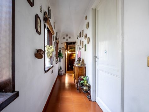 Piazza Costaguti, 36