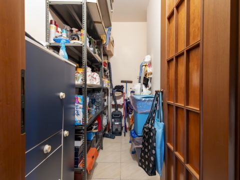 Viale Barlaam da Seminara 36