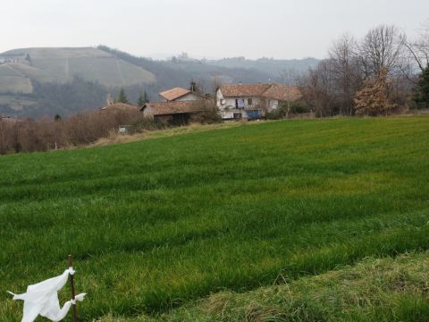 Regione Lopiano