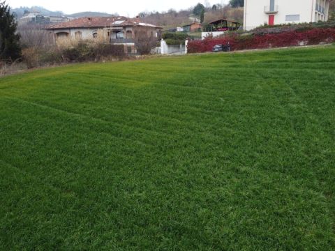 Regione Lopiano