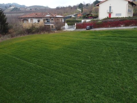 Regione Lopiano