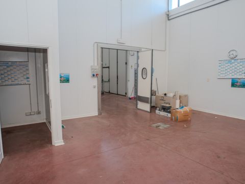 Via Corradino D'Ascanio