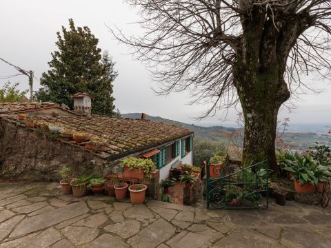 Via Bolognese, 216