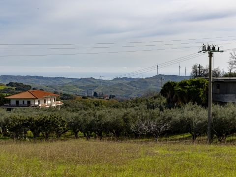 Via dei Garofani, 13