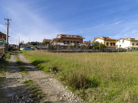 Via dei Garofani, 13