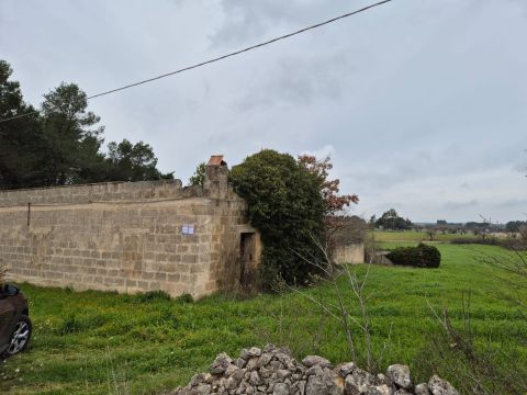 Carraro dei girardi