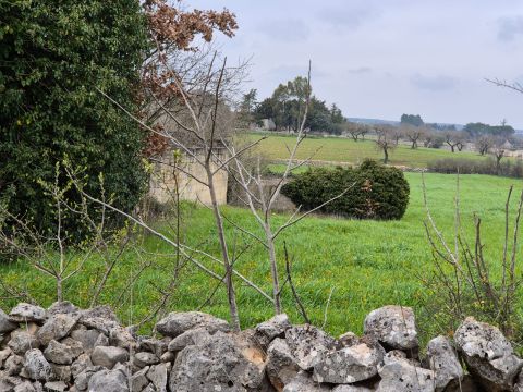 Carraro dei girardi