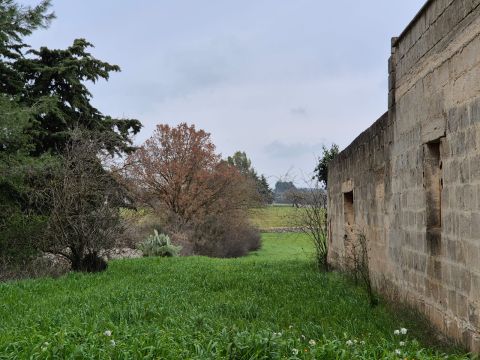 Carraro dei girardi