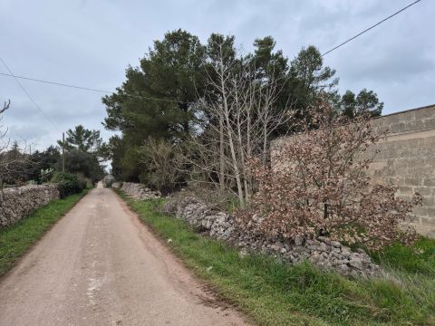 Carraro dei girardi
