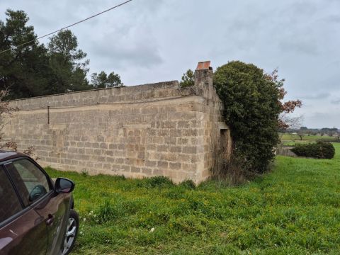 Carraro dei girardi