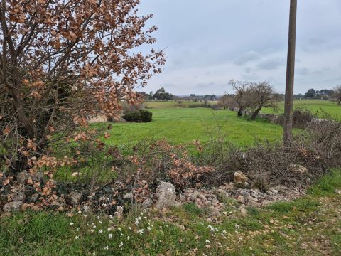 Carraro dei girardi