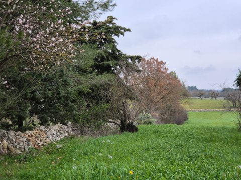 Carraro dei girardi