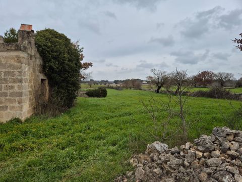 Carraro dei girardi