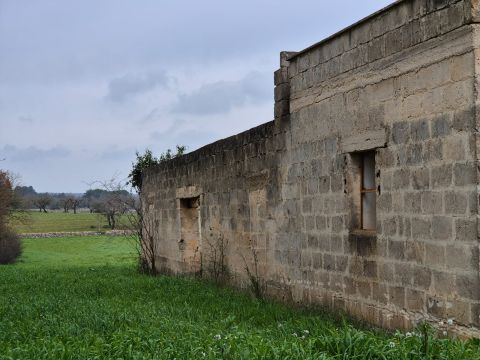 Carraro dei girardi