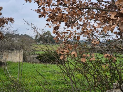Carraro dei girardi