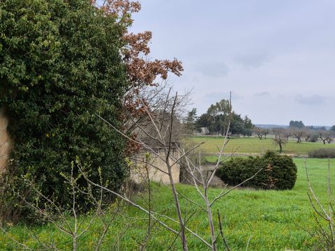 Carraro dei girardi