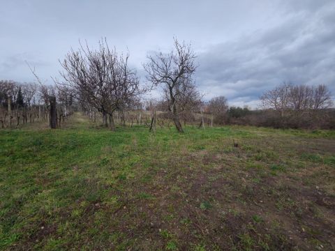 Via Capobianco