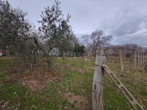 Via Capobianco