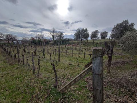 Via Capobianco