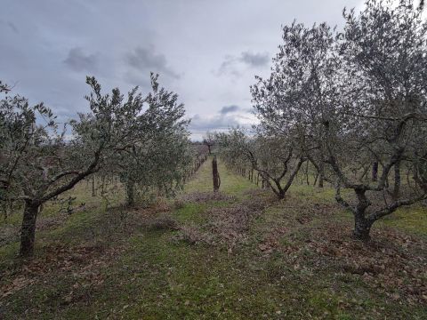 Via Capobianco