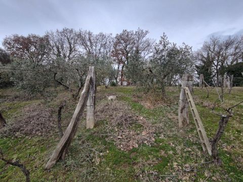 Via Capobianco