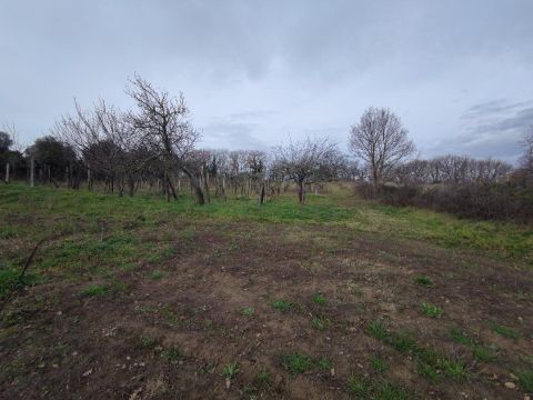 Via Capobianco