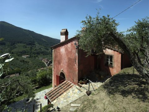 Località sopra le Vigne, Calci