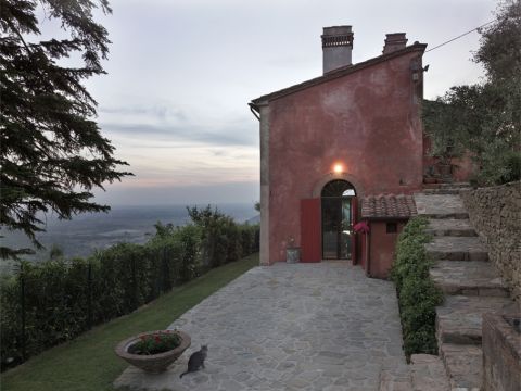 Località sopra le Vigne, Calci