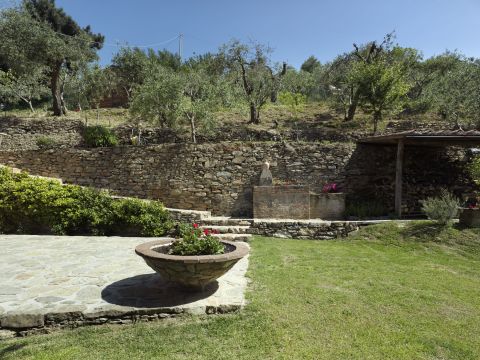 Località sopra le Vigne, Calci