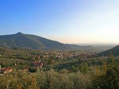 Località sopra le Vigne, Calci