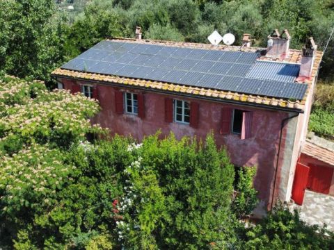 Località sopra le Vigne, Calci