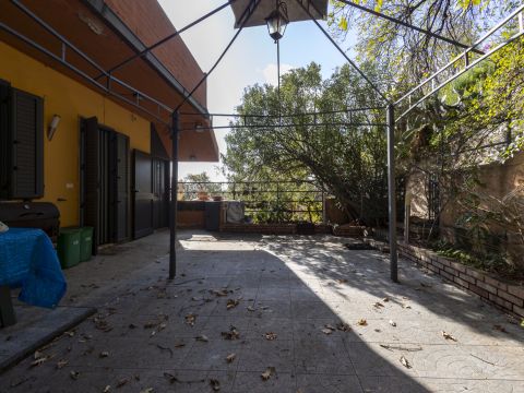 lo pilato