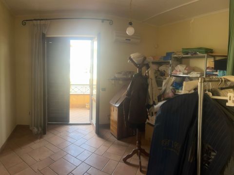 viale delle palme 12