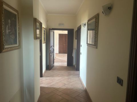 viale delle palme 12
