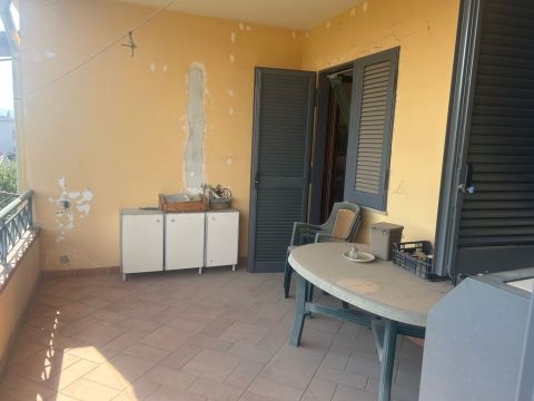 viale delle palme 12