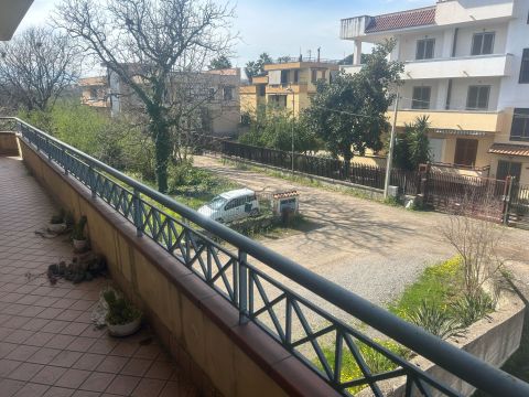 viale delle palme 12