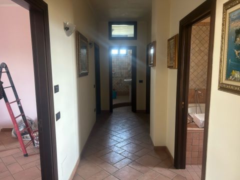 viale delle palme 12