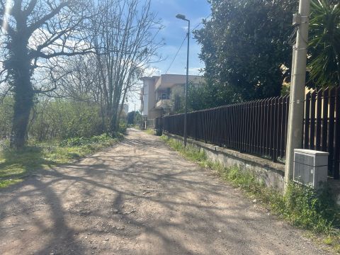 viale delle palme 12