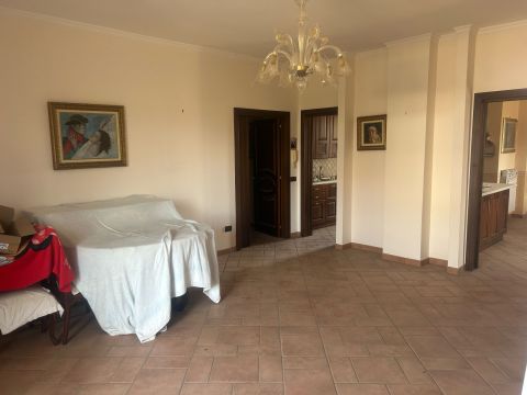 viale delle palme 12